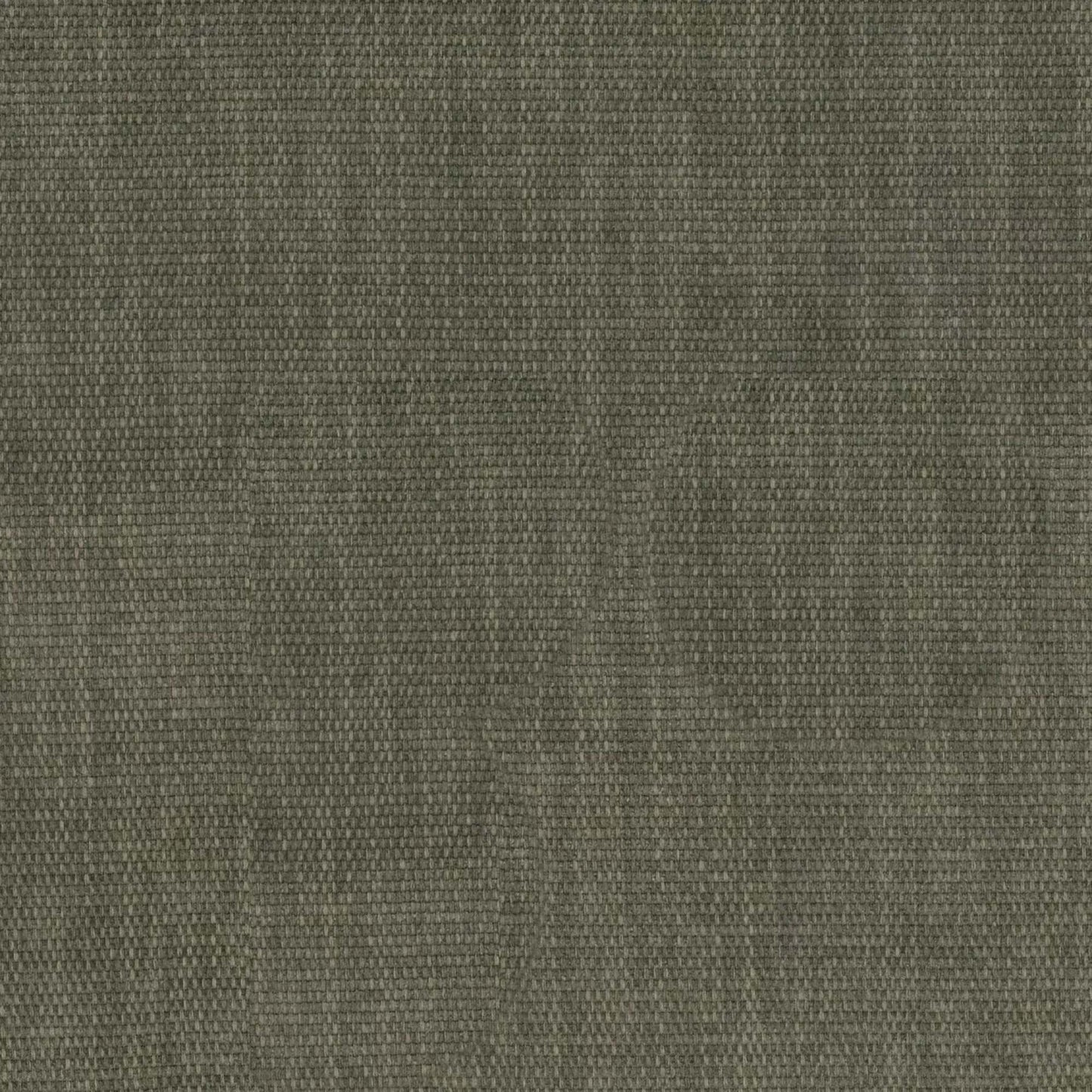 COPELAND EUCALYPTUS FABRIC SAMPLE | VALUE COLLECTION
