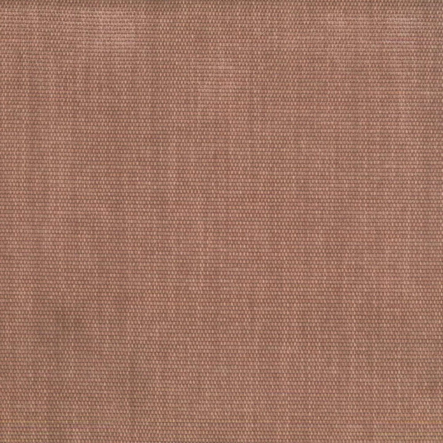 COPELAND ROSEBUD FABRIC SAMPLE | VALUE COLLECTION