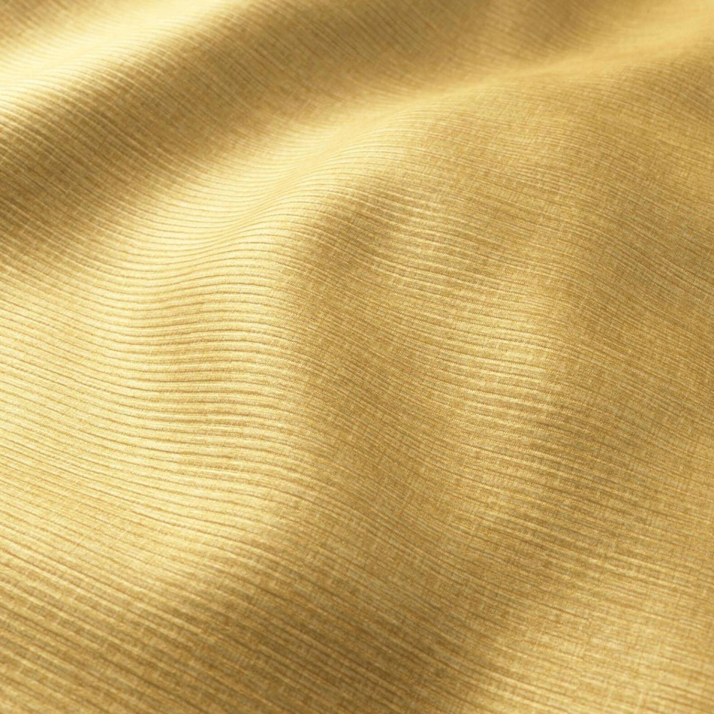HOMBRE CORDUROY | GOLD | SPECIAL COLLECTION | # 4