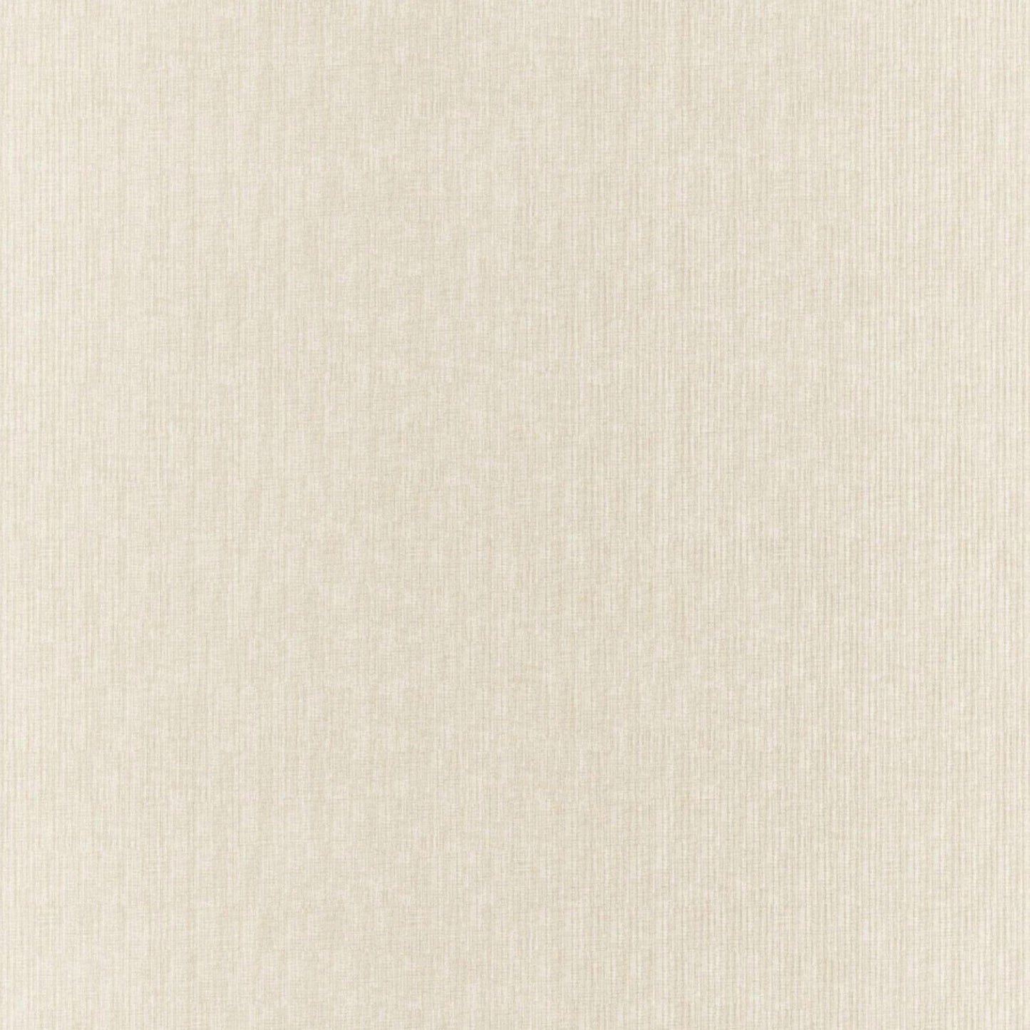 HOMBRE CORDUROY | IVORY | SPECIAL COLLECTION | # 4