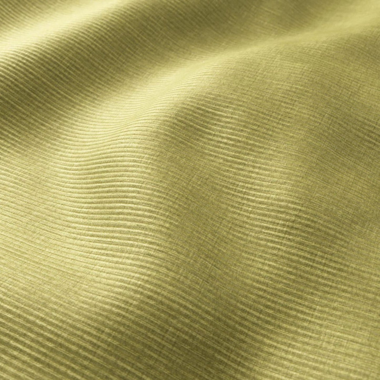 HOMBRE CORDUROY | MOSS | SPECIAL COLLECTION | # 4