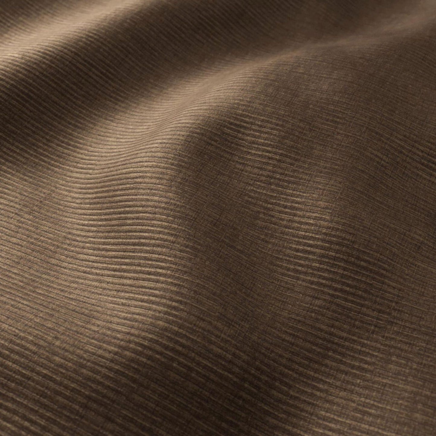 HOMBRE CORDUROY | PINECONE | SPECIAL COLLECTION | # 4