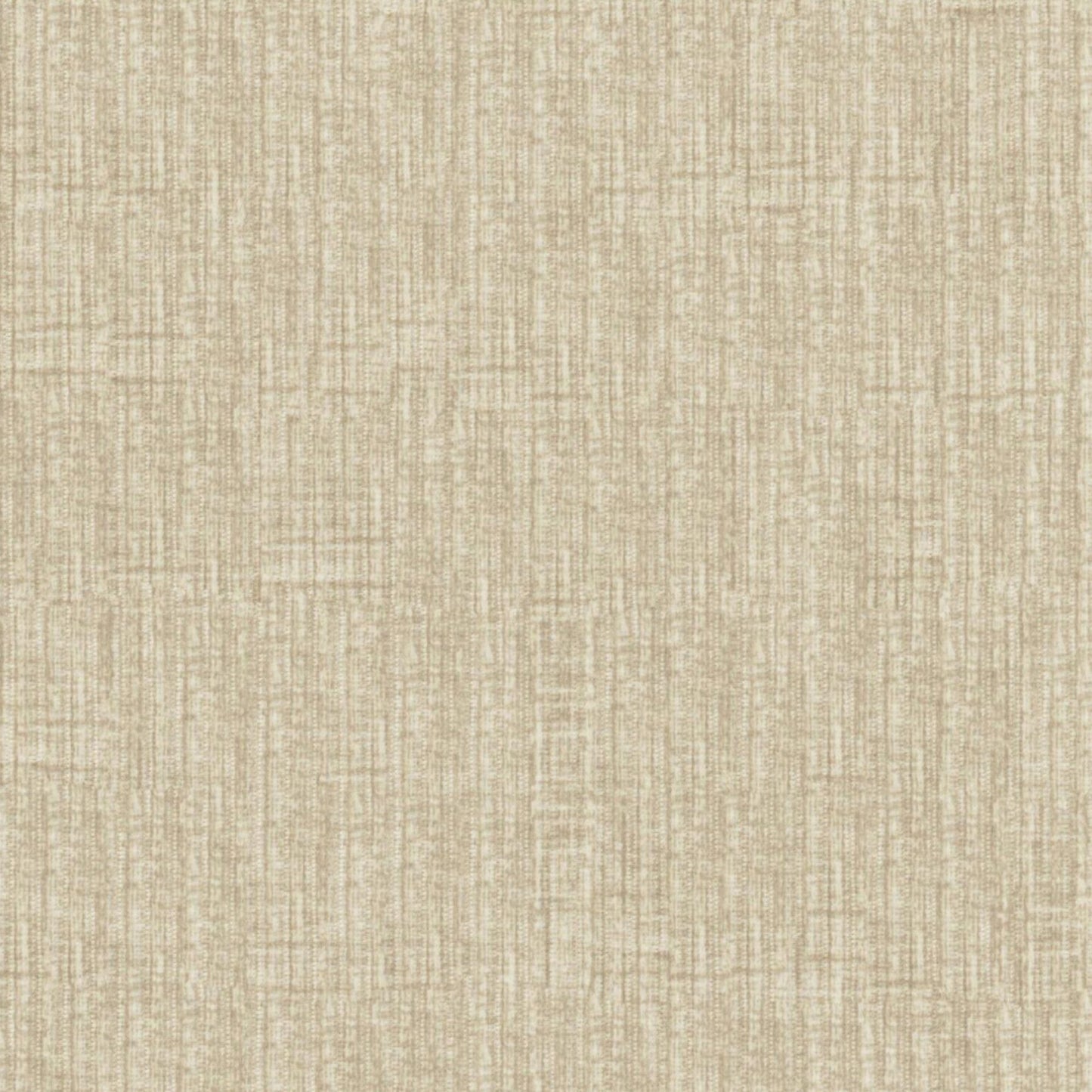 HOMBRE CORDUROY | SESAME | SPECIAL COLLECTION | # 4