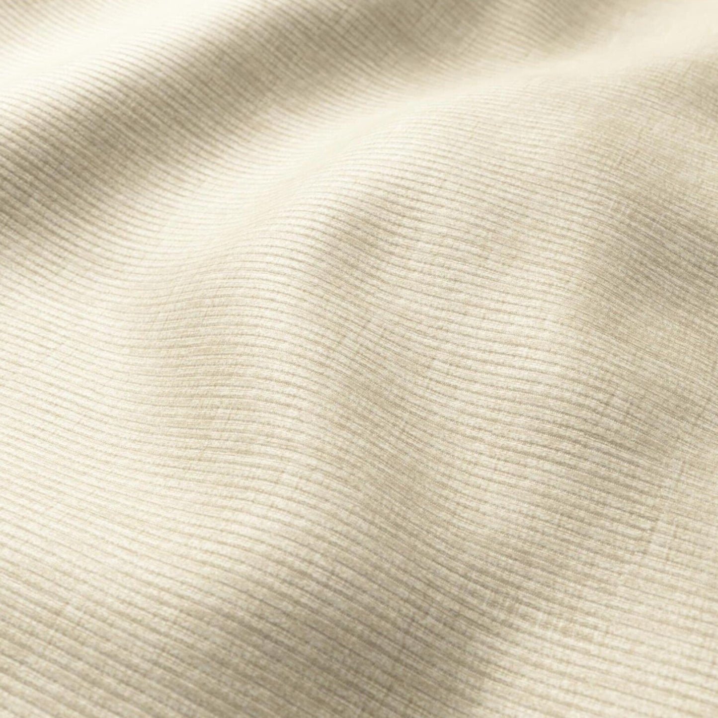 HOMBRE CORDUROY | SESAME | SPECIAL COLLECTION | # 4