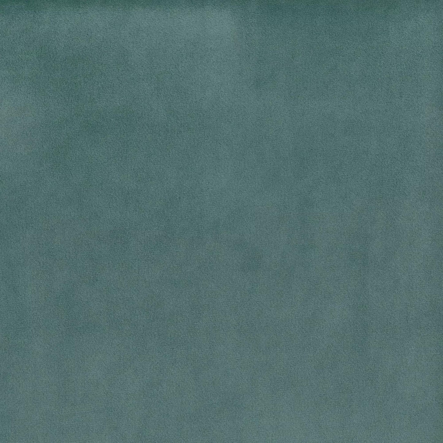 PLUSH EUCALYPTUS FABRIC SAMPLE | VALUE COLLECTION