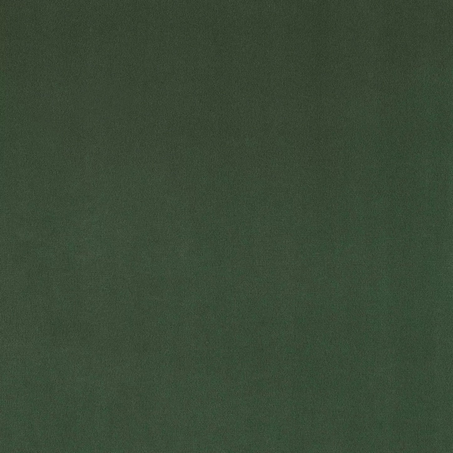 PLUSH FOREST FABRIC SAMPLE | VALUE COLLECTION