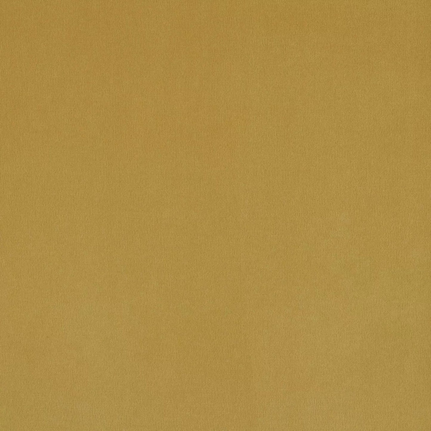 PLUSH OLIVE FABRIC SAMPLE | VALUE COLLECTION