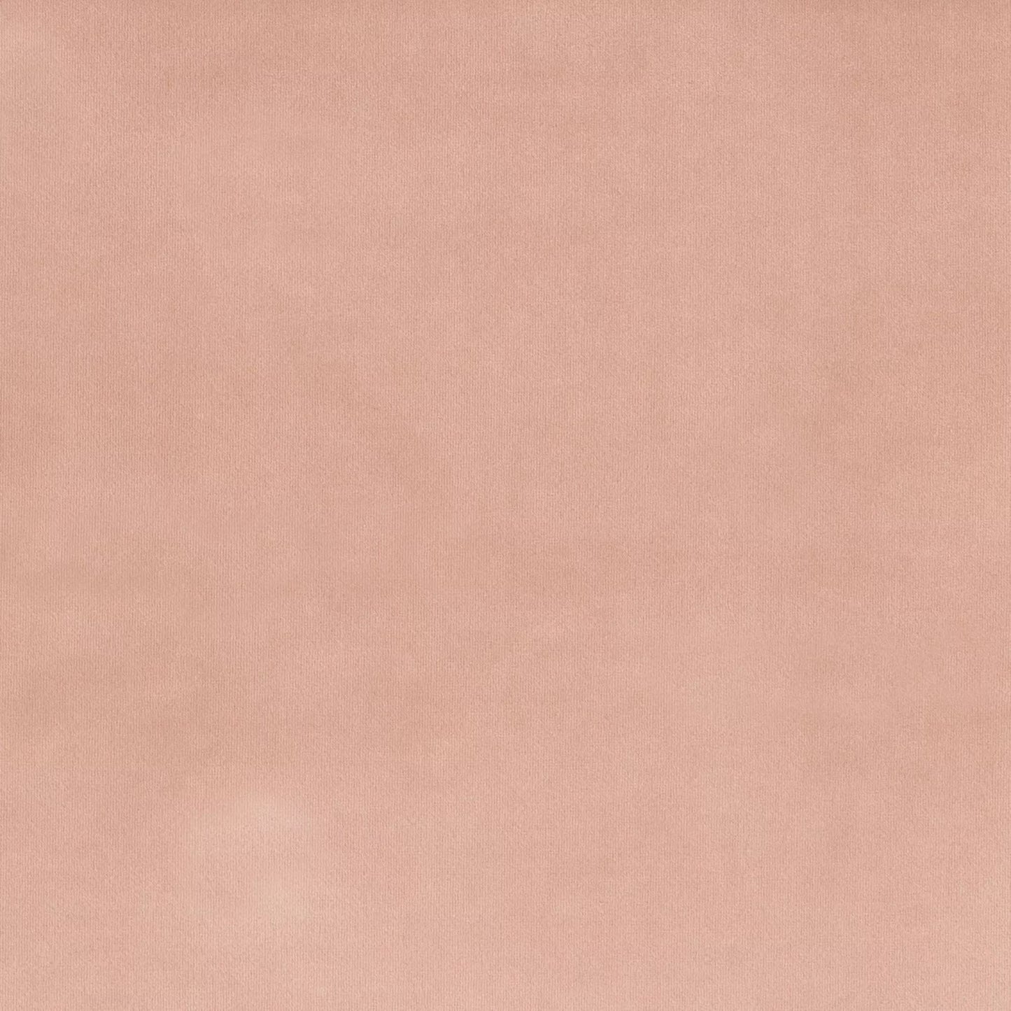 PLUSH PETAL FABRIC SAMPLE | VALUE COLLECTION