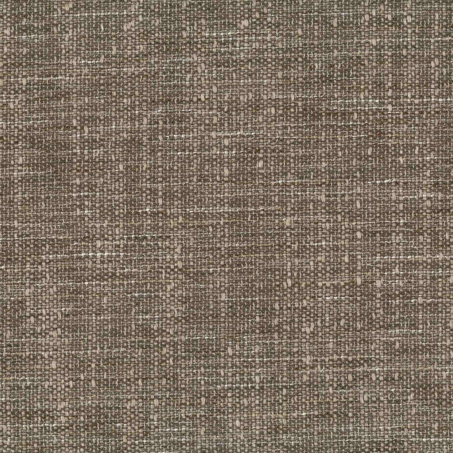 ZION BARK SAMPLE SAMPLE | MID RANGE COLLECTION