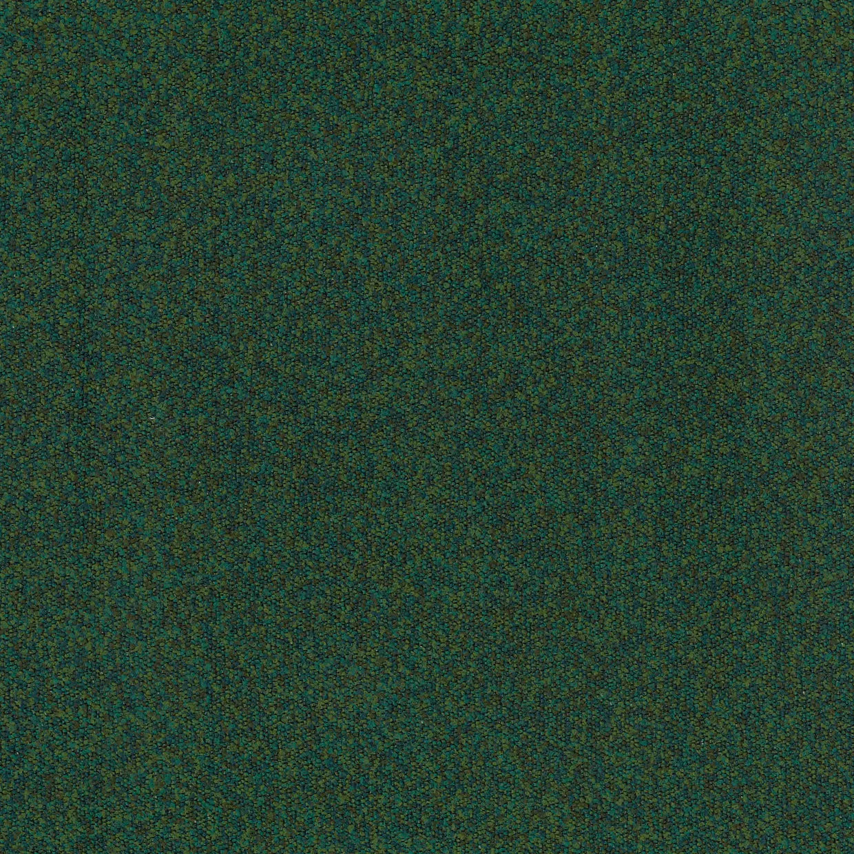 BUCKLEY BASIL MICRO-LOOP TEXTURE