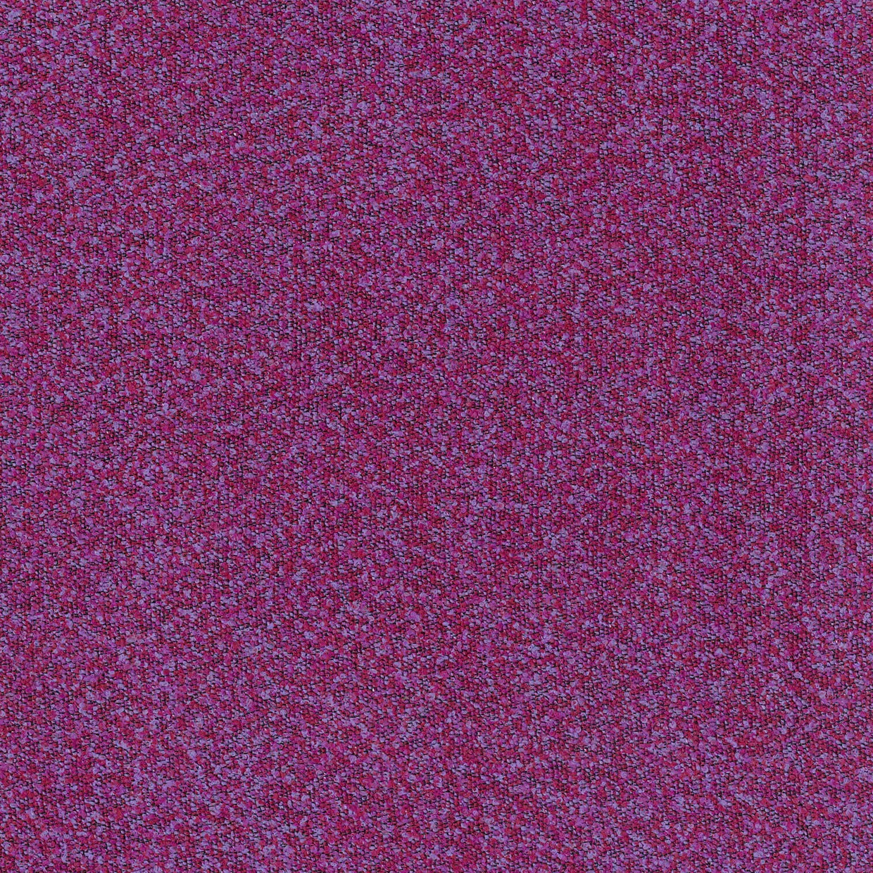 BUCKLEY BERRY MICRO-LOOP TEXTURE