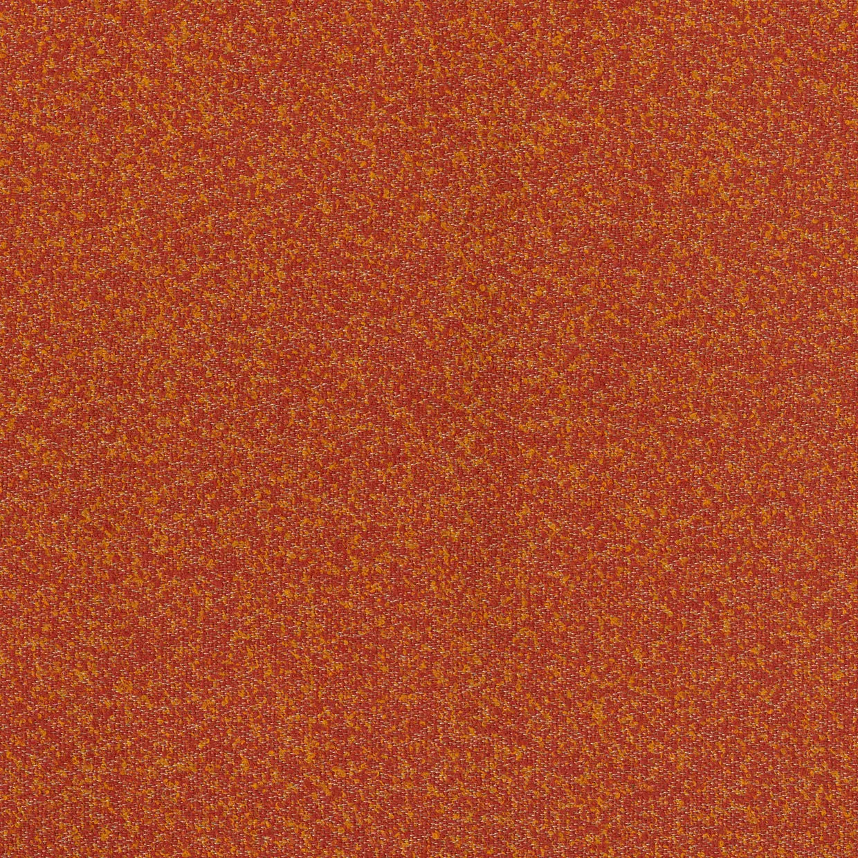 BUCKLEY CHILI MICRO-LOOP TEXTURE