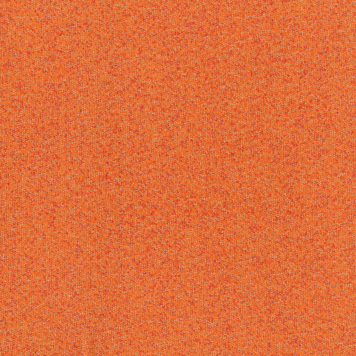BUCKLEY SHERBET MICRO-LOOP TEXTURE