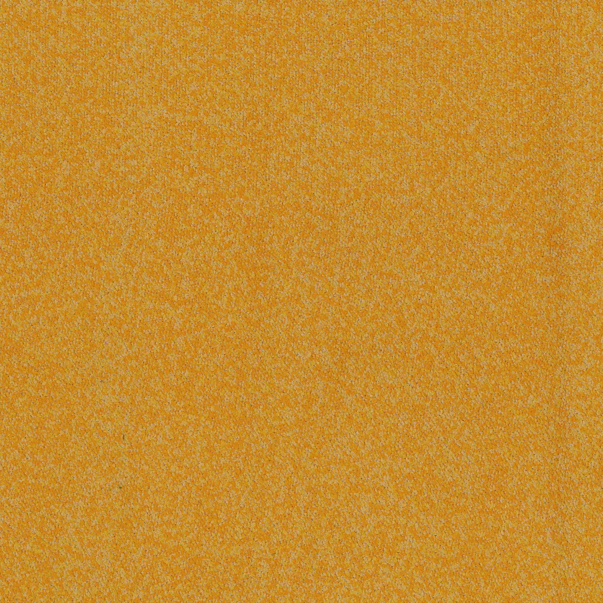 BUCKLEY SUNRISE MICRO-LOOP TEXTURE