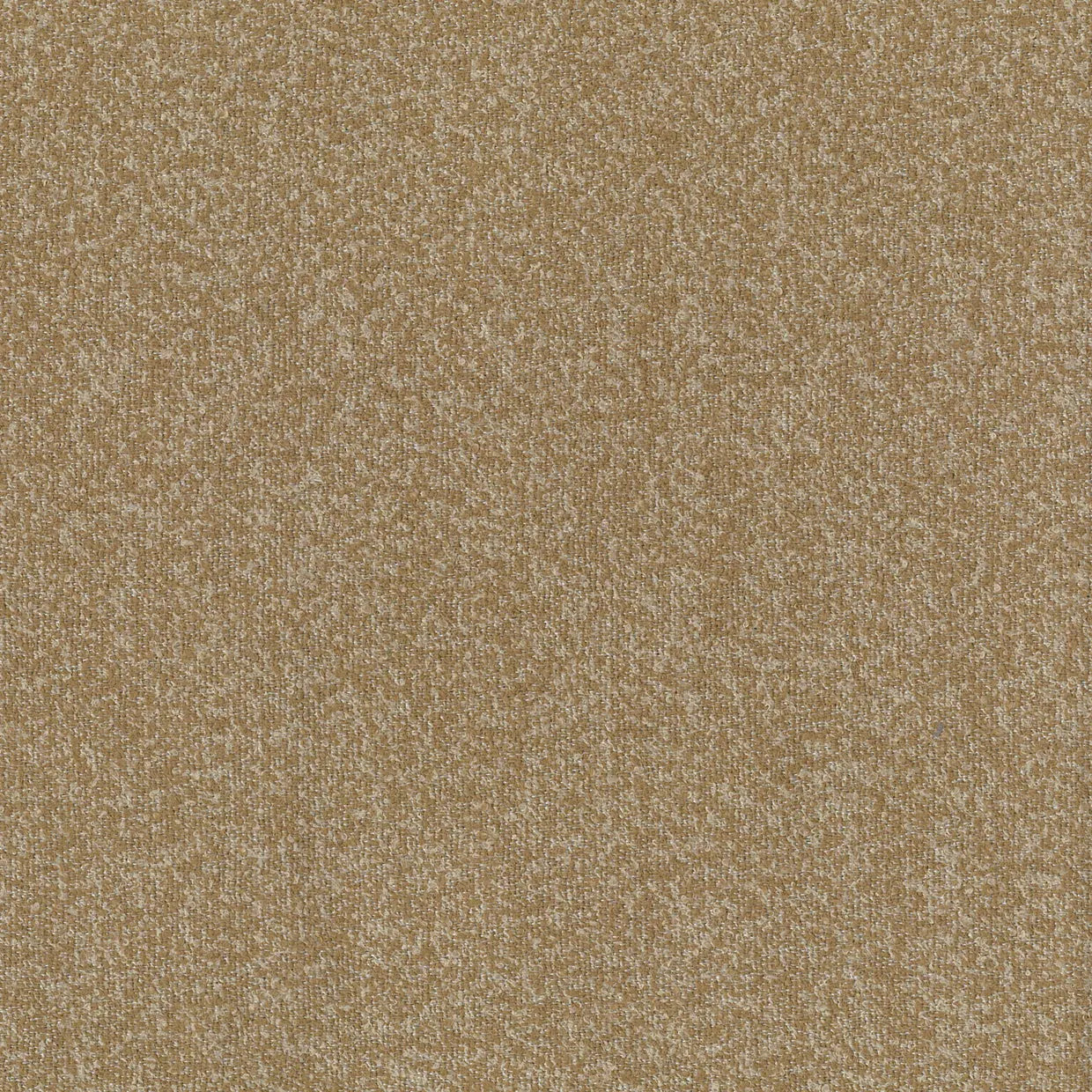 BUCKLEY TOFFEE MICRO-LOOP TEXTURE