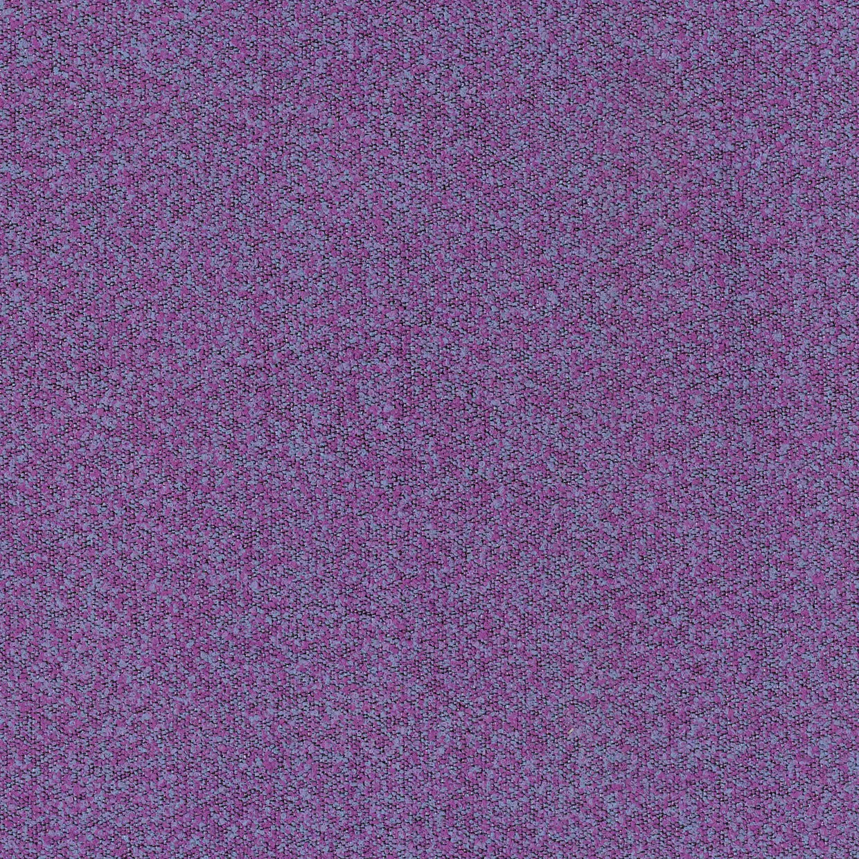 BUCKLEY VIOLET MICRO-LOOP TEXTURE