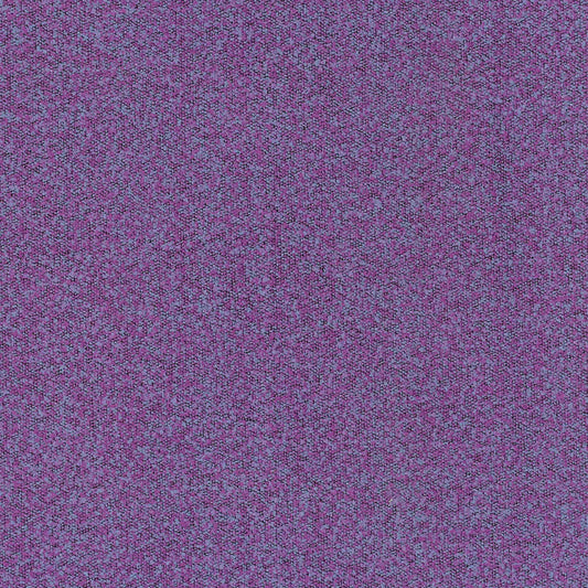 BUCKLEY VIOLET MICRO-LOOP TEXTURE