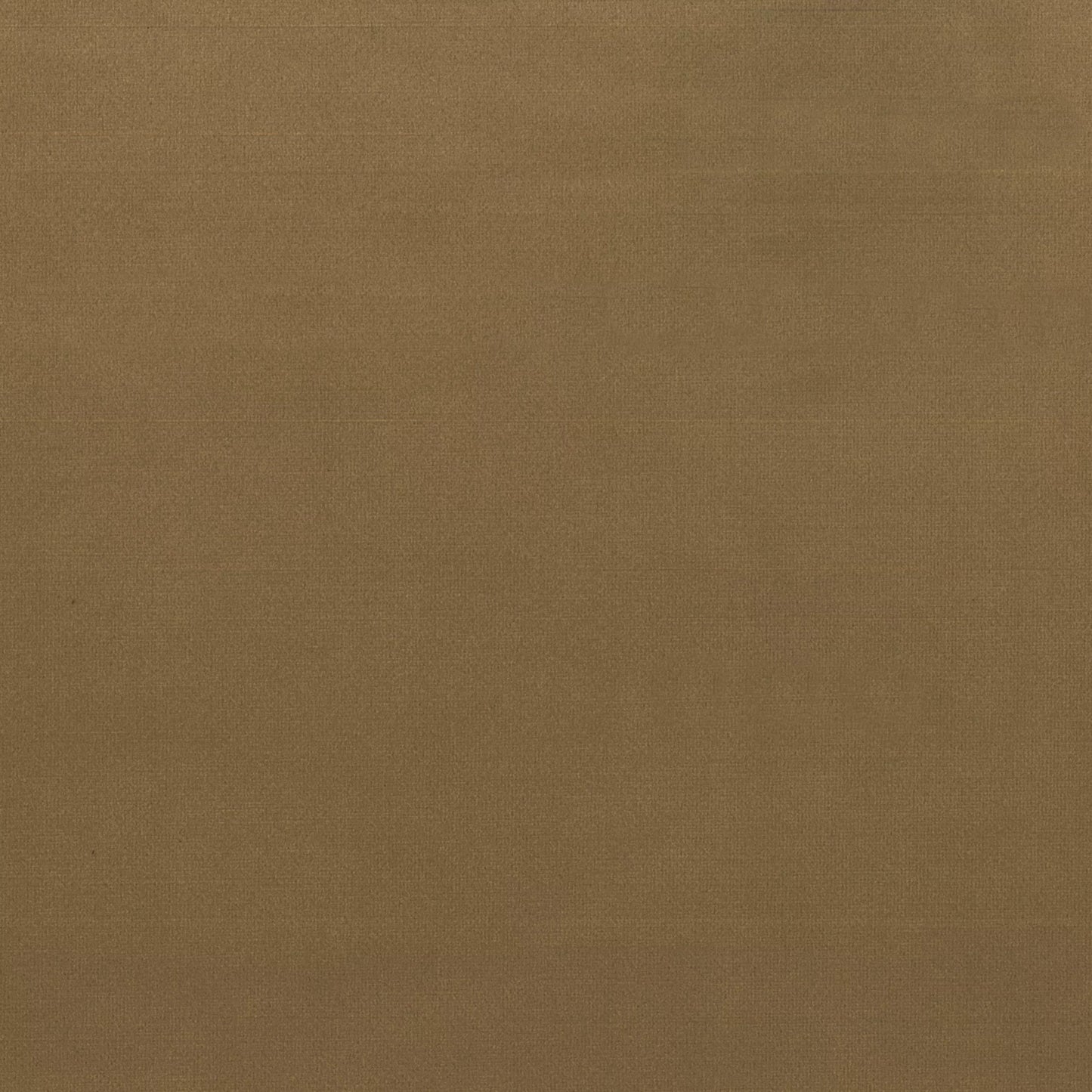 DUKE CAMEL VELVET