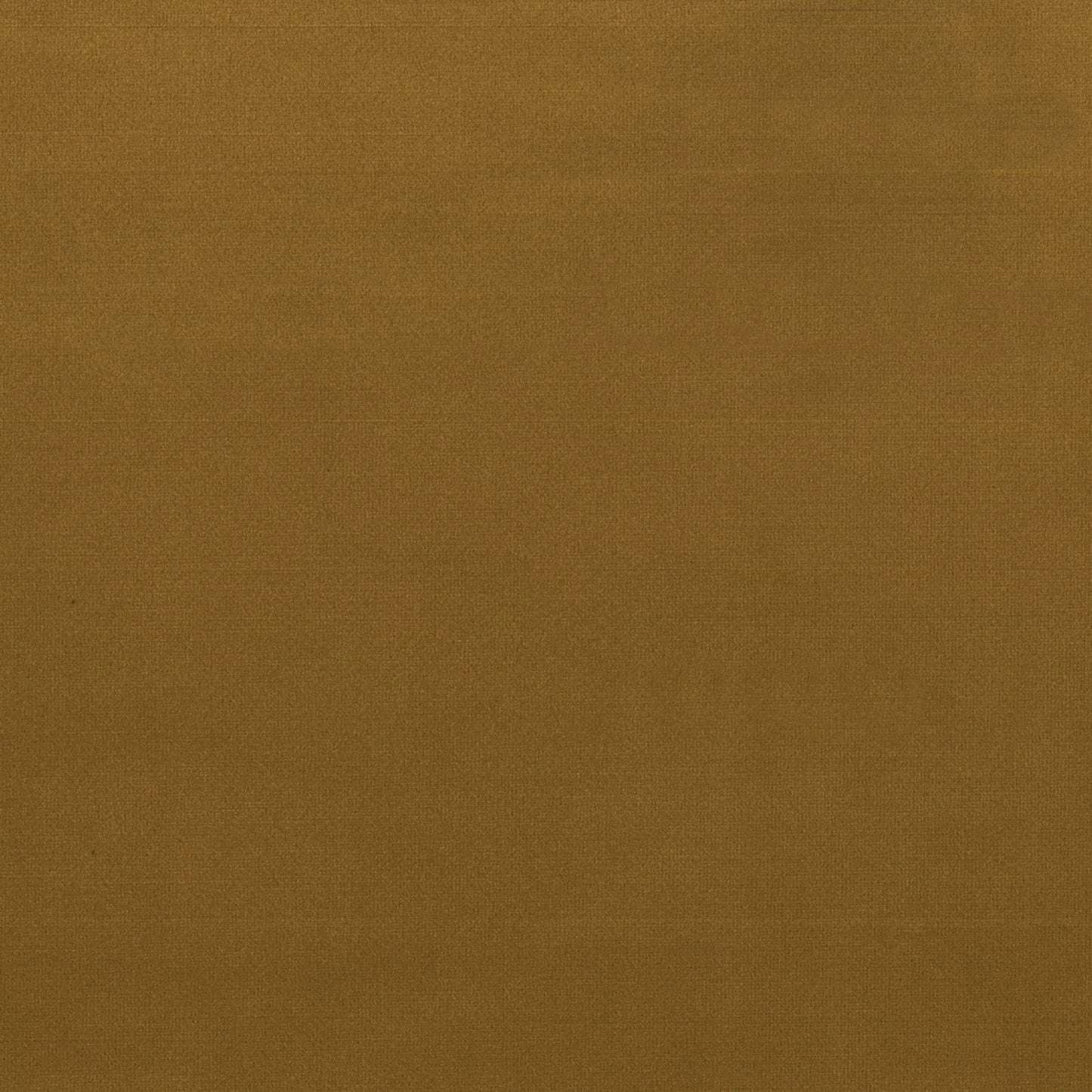 DUKE GOLD VELVET