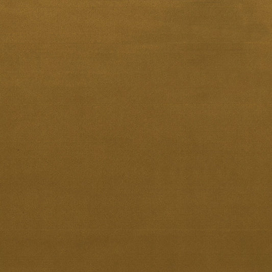 DUKE GOLD VELVET