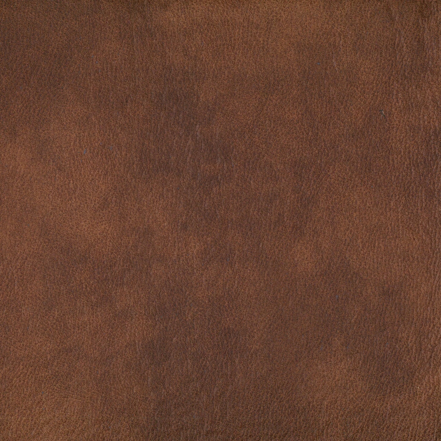 EASTWOOK BISON LEATHER-LOOK