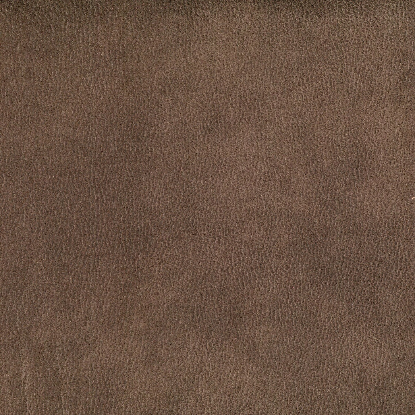 EASTWOOD DONKEY LEATHER-LOOK