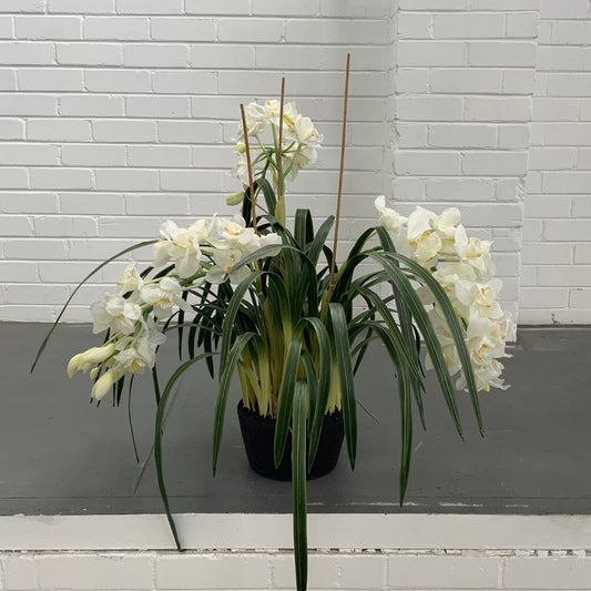 CYMBIDIUM ORCHID | WHITE 110CM MULTI-STEM | HIGH QUALITY ARTIFICIAL ARRANGEMENT