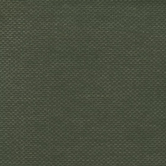 BINGLE SPROUT FABRIC SAMPLE | VALUE COLLECTION