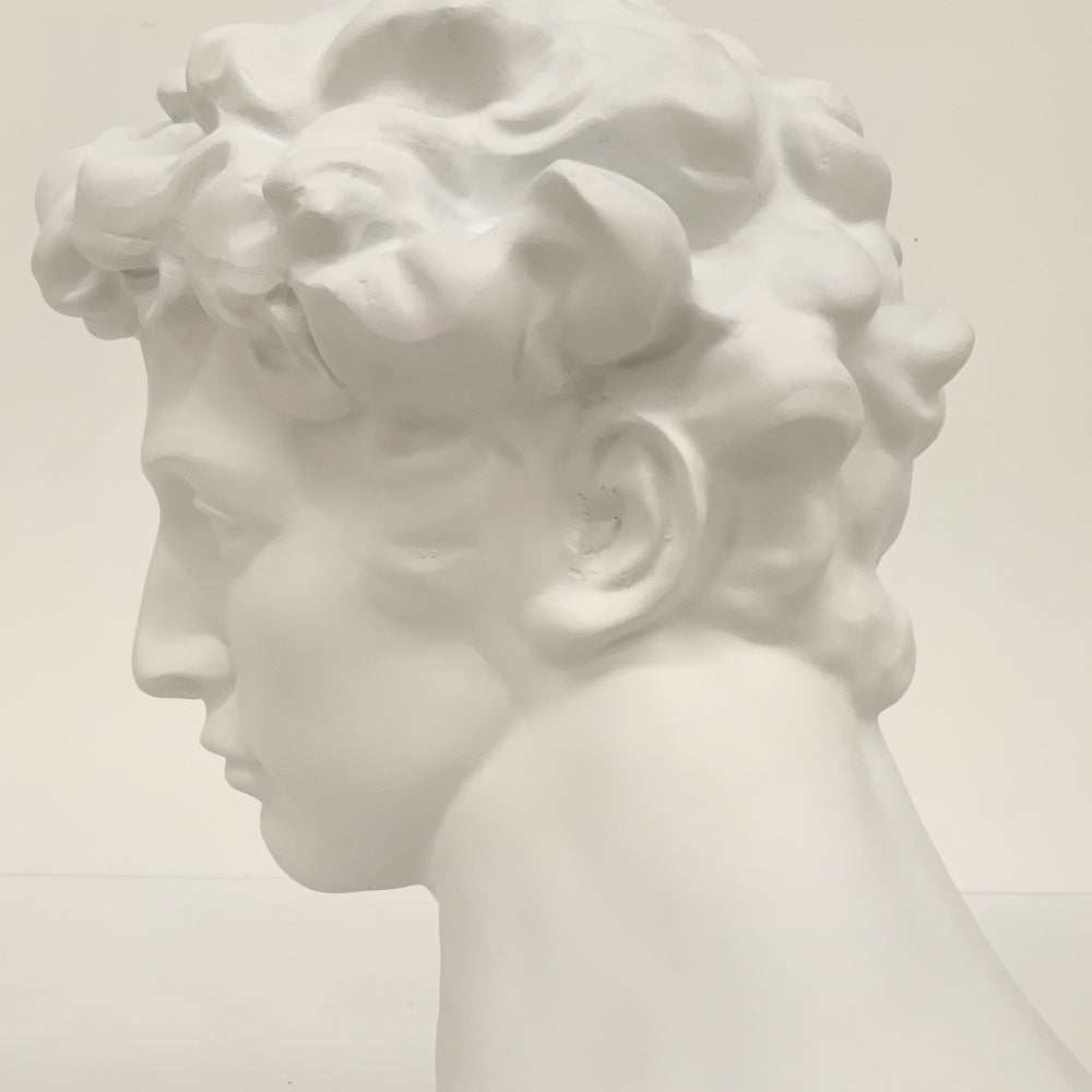 60cm Neo Classical Style Male Bust Statue | White