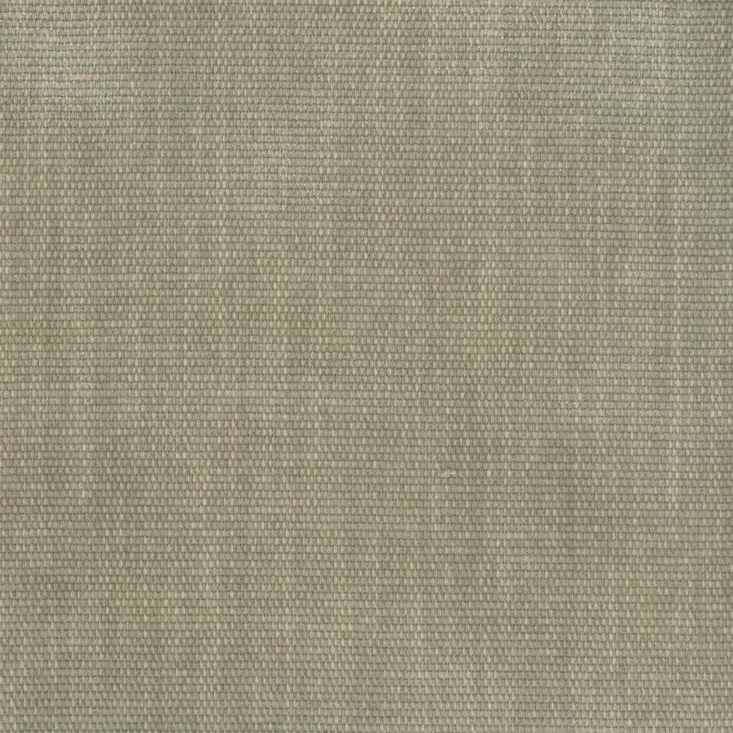 Copeland Birch Fabric | Value Collection