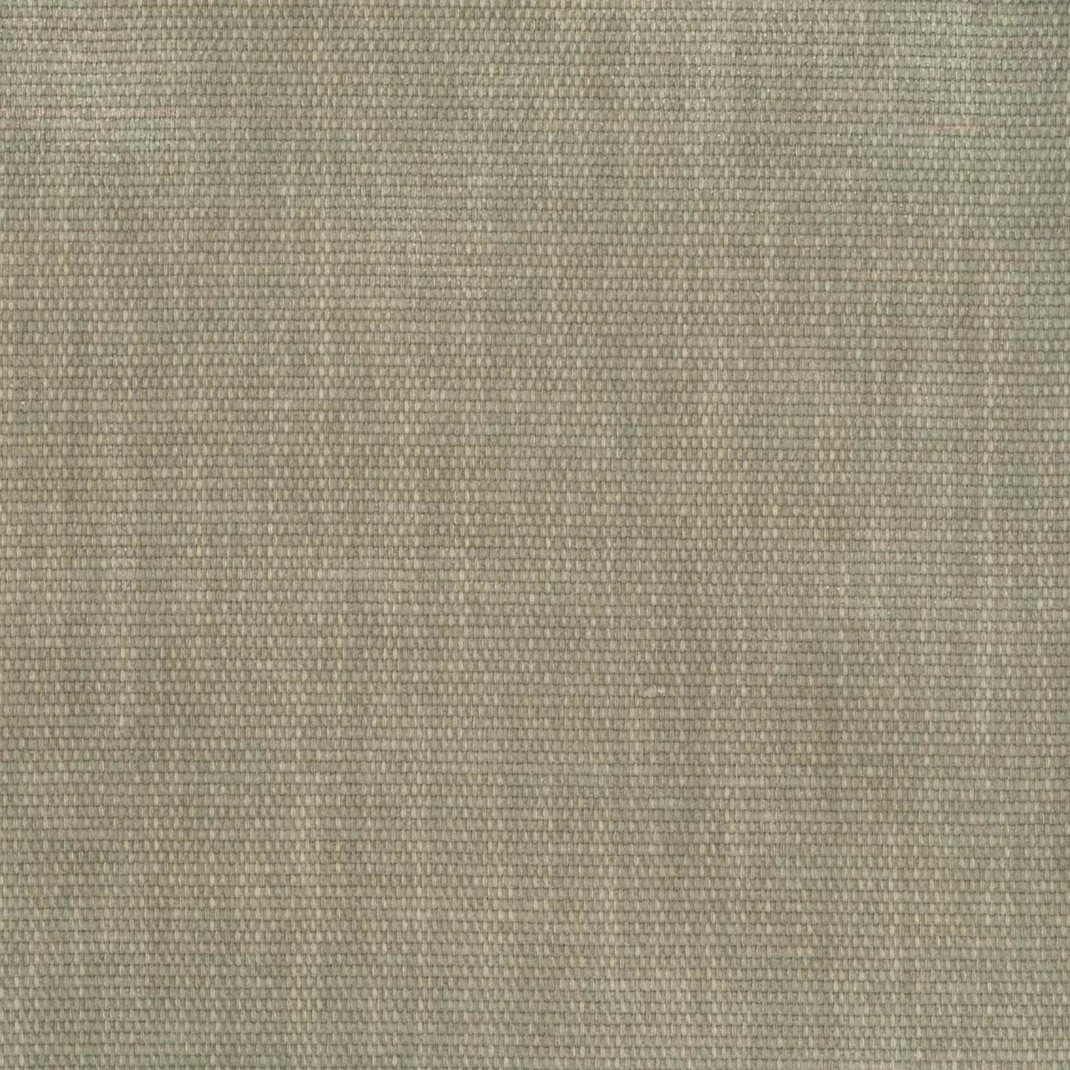 Copeland Birch Fabric | Value Collection