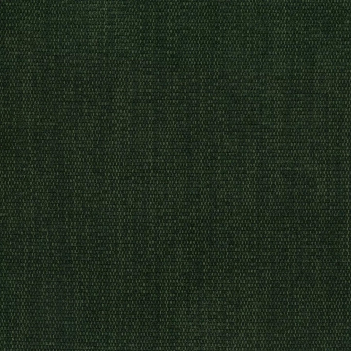 COPELAND GREENSTONE FABRIC SAMPLE | VALUE COLLECTION