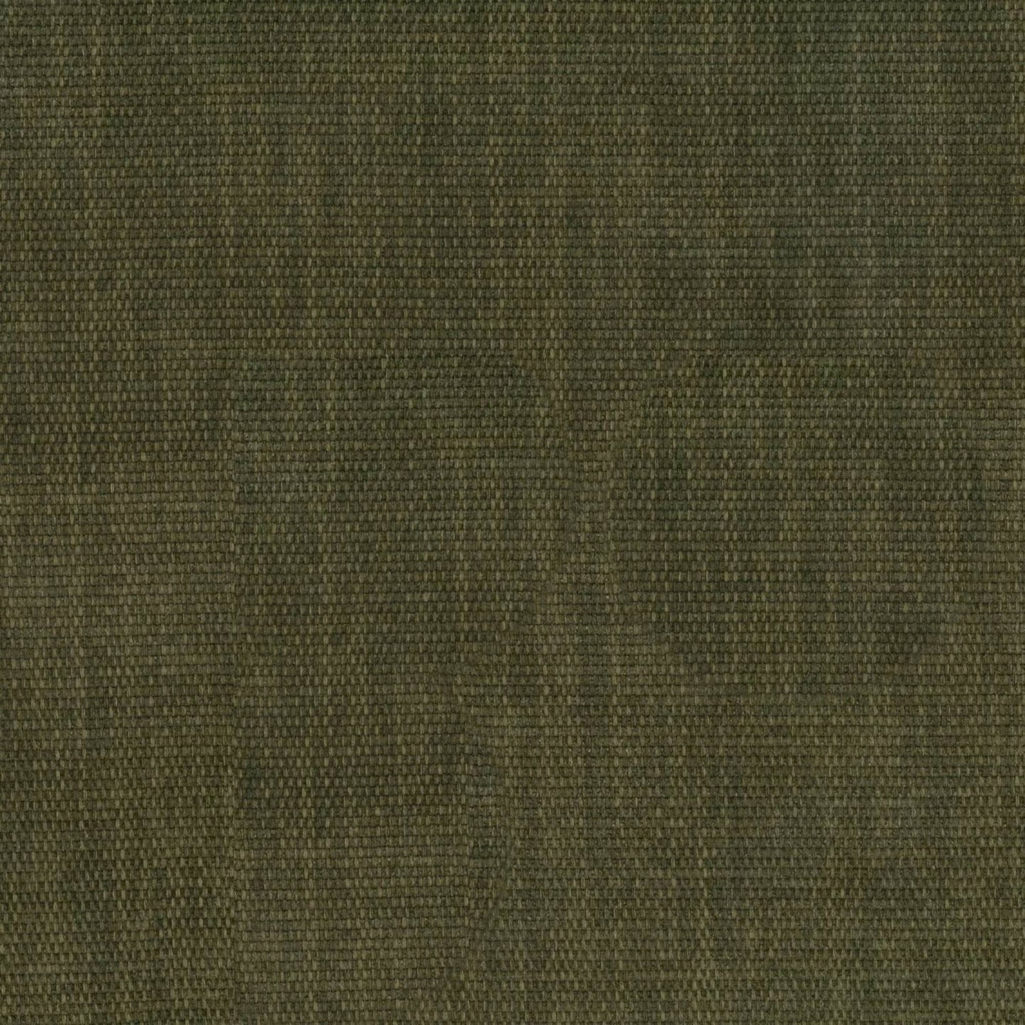 COPELAND OLIVE FABRIC SAMPLE | VALUE COLLECTION