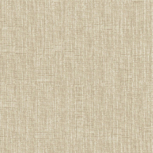 HOMBRE CORDUROY | SESAME | SPECIAL COLLECTION | # 4