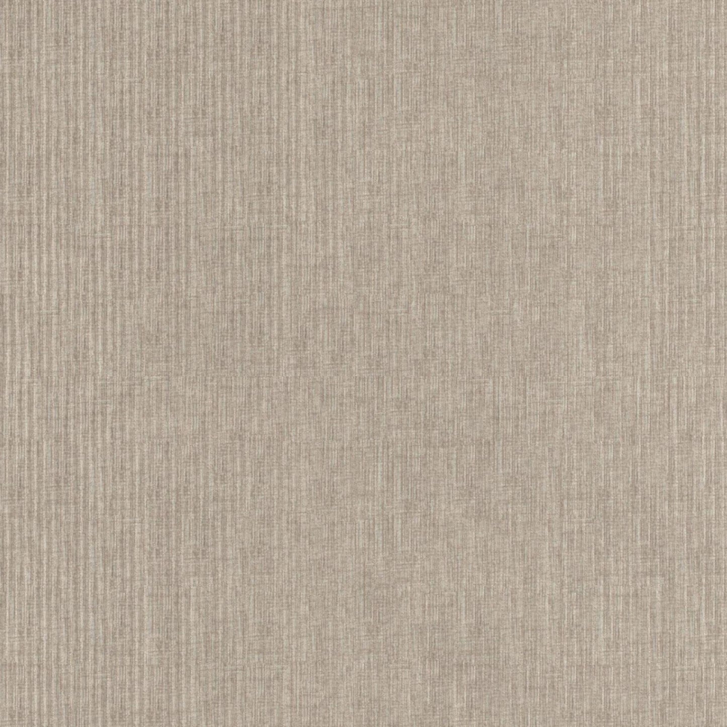 HOMBRE CORDUROY | TAUPE | SPECIAL COLLECTION | # 4