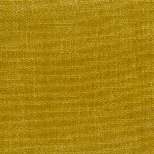 ORLEANS HONEY FABRIC SAMPLE | PREMIUM COLLECTION