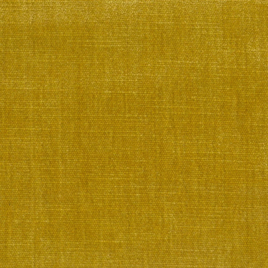 ORLEANS HONEY FABRIC SAMPLE | PREMIUM COLLECTION