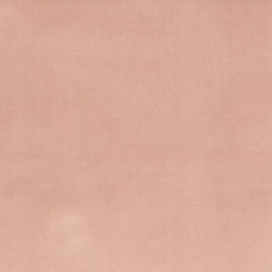 PLUSH PETAL FABRIC SAMPLE | VALUE COLLECTION