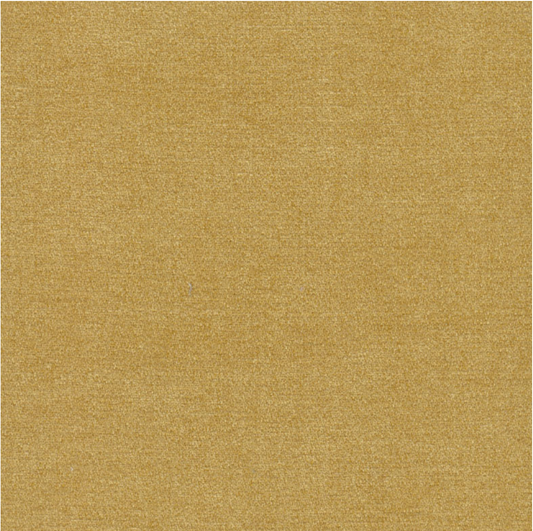 INDULGE MAIZE FABRIC SAMPLE | MID RANGE COLLECTION